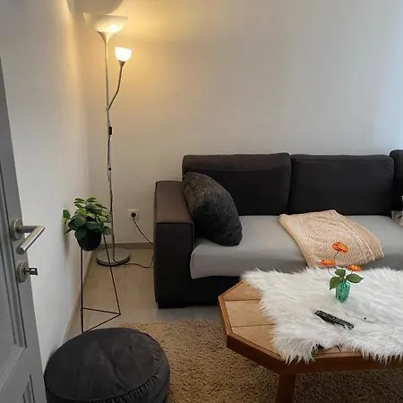 Big Private Apartment In The Heart Of Amberes Exterior foto