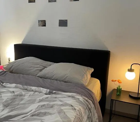 Big Private Apartment In The Heart Of Antwerp
