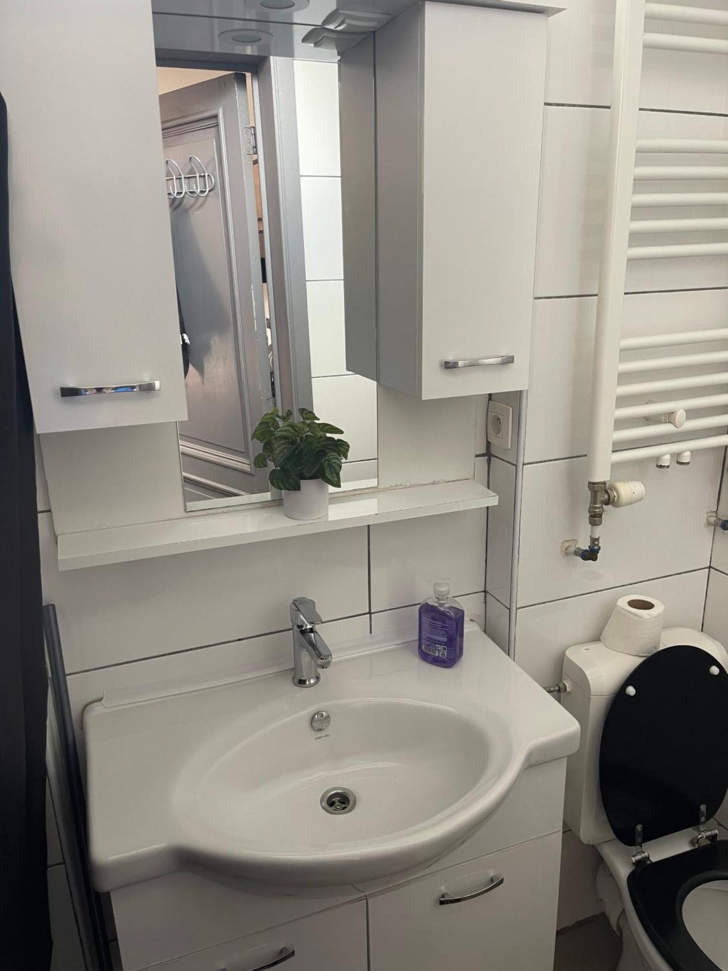 Big Private In The Heart Of Apartment Antwerp