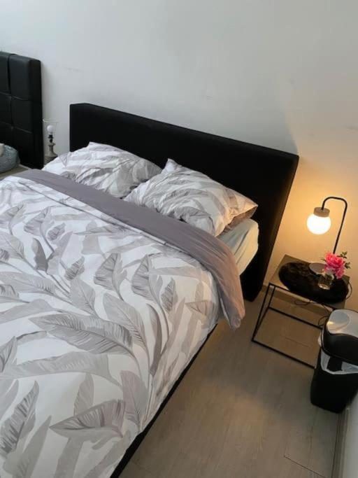 Big Private In The Heart Of * Antwerp