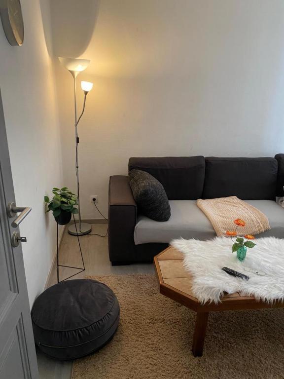 Apartment Big Private In The Heart Of *
